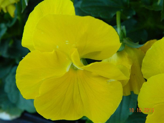 006 - 04_TOAMNA
