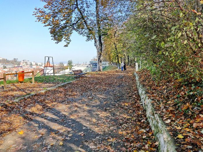DSC01187