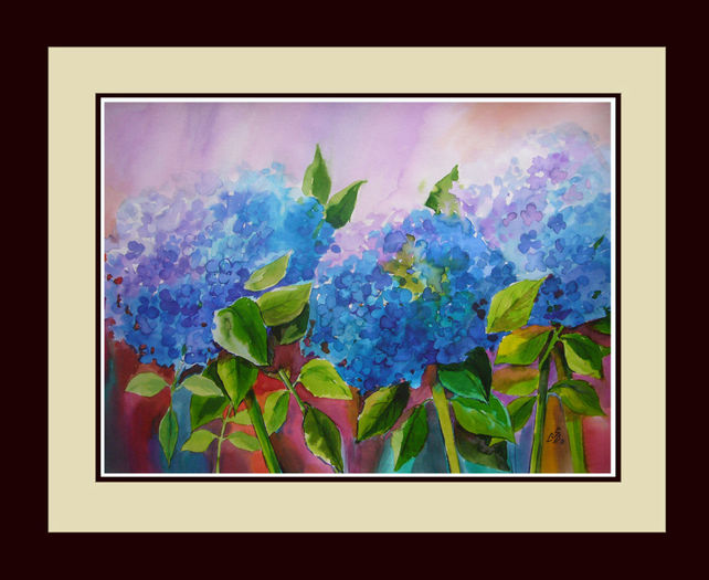 Hydrangeas11