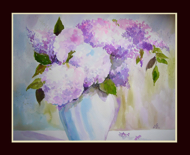 Hydrangeas13