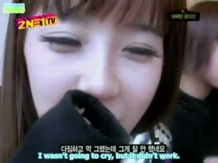 2ne1 cry20