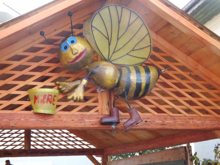 megalbina 2 - apicultura