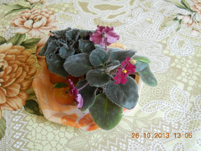 002 - OCTOMBRIE 2013