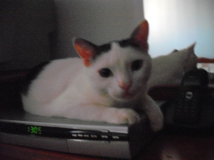 DSCF1395 - FELIX