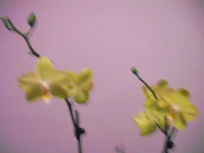 DSCF1376