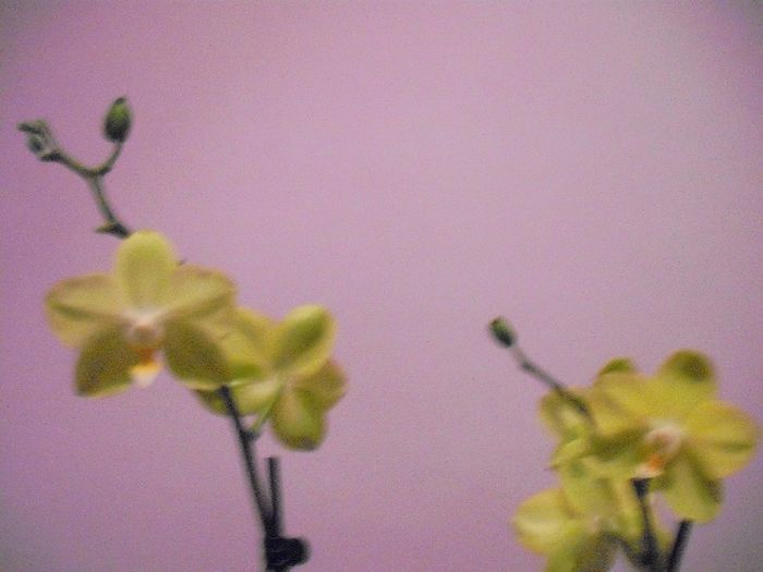 DSCF1377