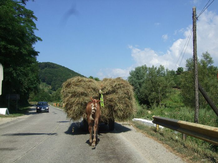 165 - Maramures-Suceava-Bistrita