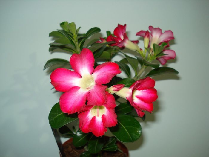 DSC03751