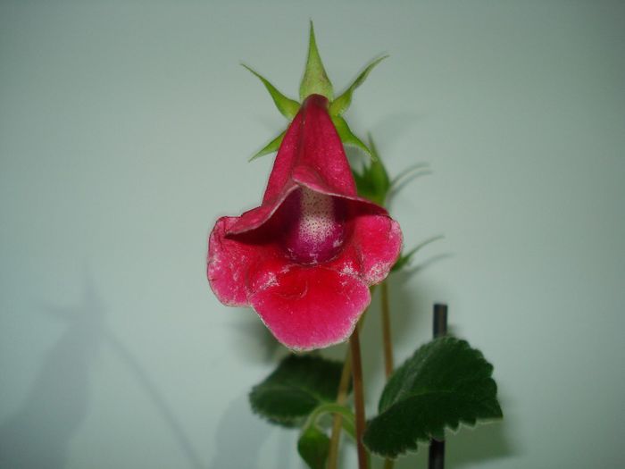 DSC03757