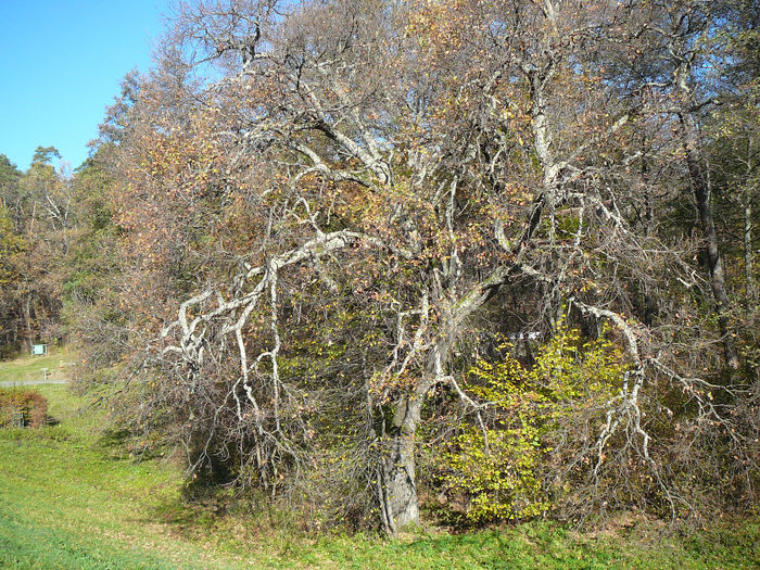 P1510878