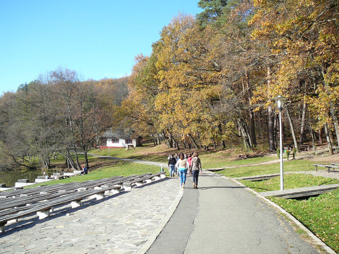 P1510885