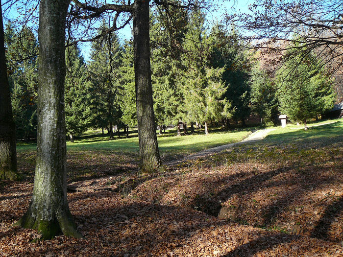 P1510909