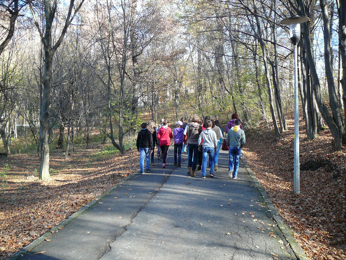 P1510989 - 2013 - Excursie 25-26 octombrie