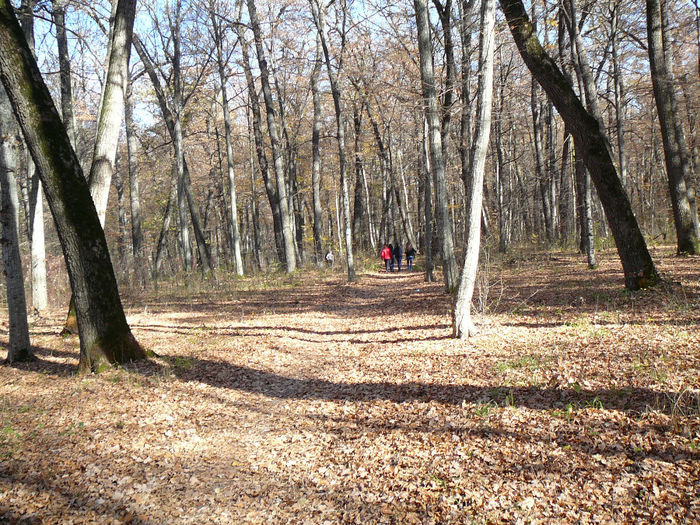 P1520039