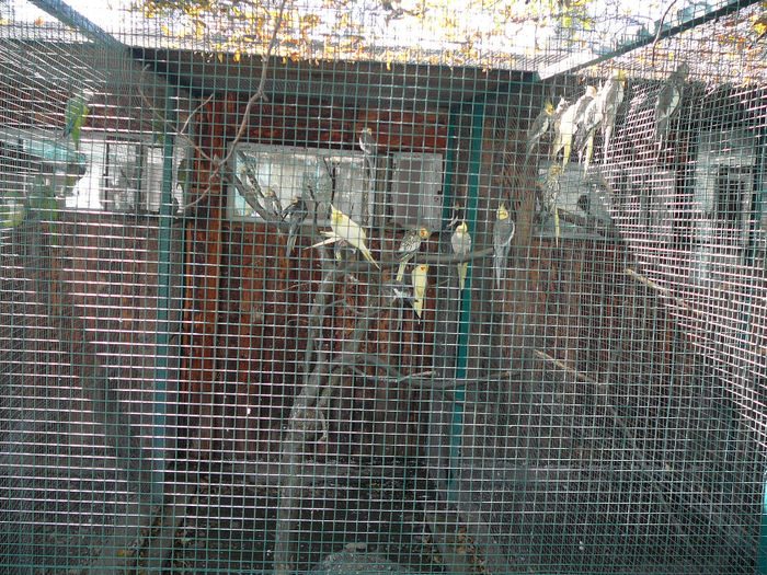 P1520074