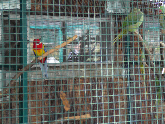 P1520076