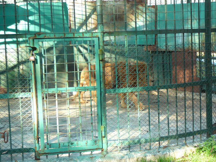 P1520086