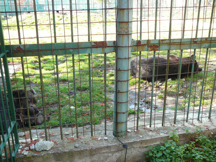 P1520090