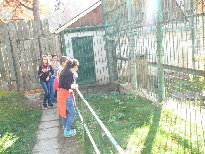 P1520091