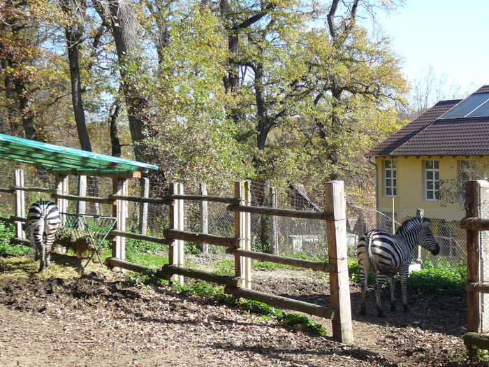 P1520114