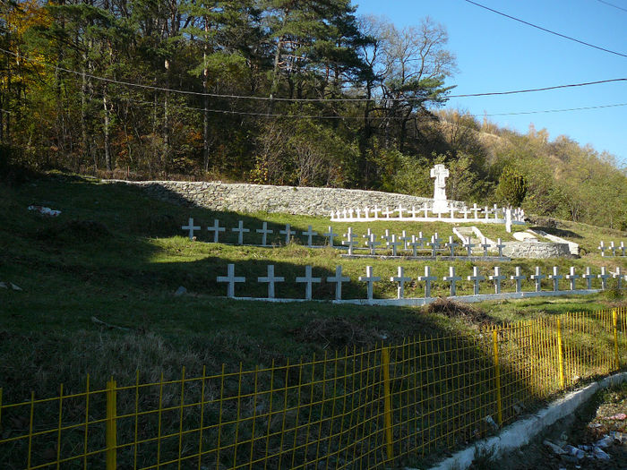 P1520129