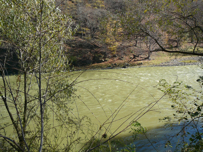 P1520146