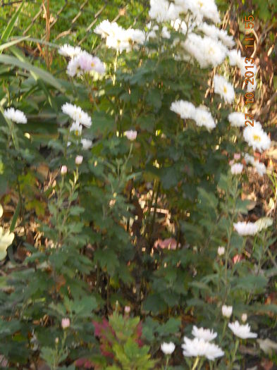 031