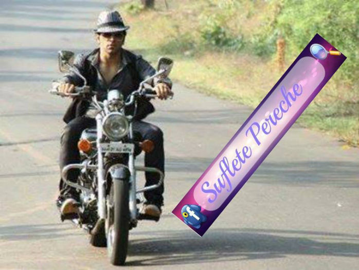 1385637_389120911219429_810549486_n