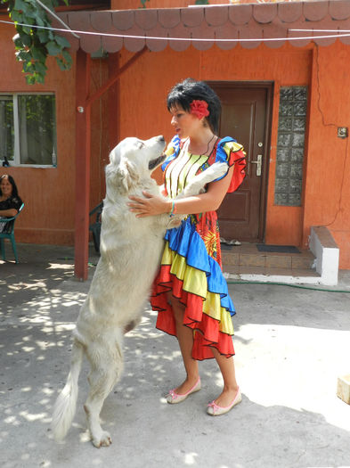 TANGO USOR DE VARA