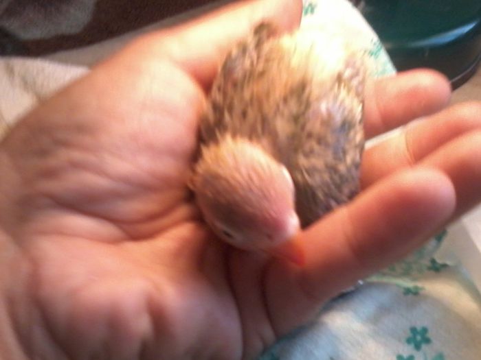 20131026_170118; 26 oct
