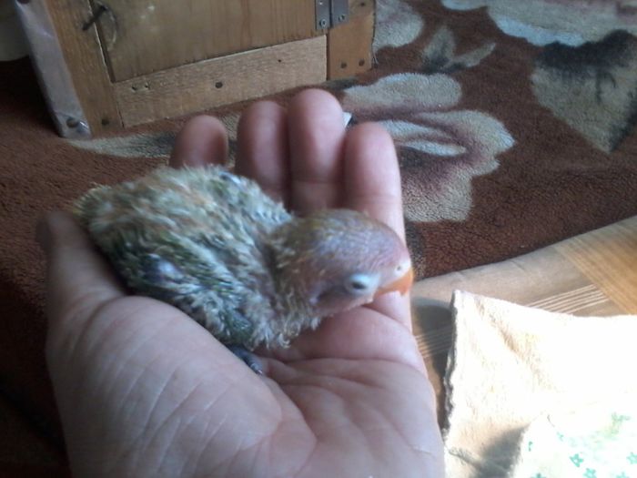 20131026_170143; 26 oct
