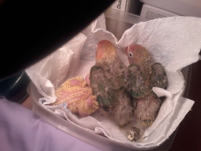 20131028_082241; 28 oct
