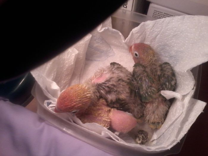 20131028_082244; 28 oct
