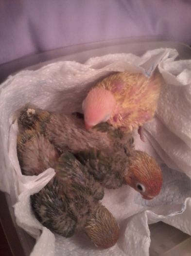 20131028_082256; 28 oct
