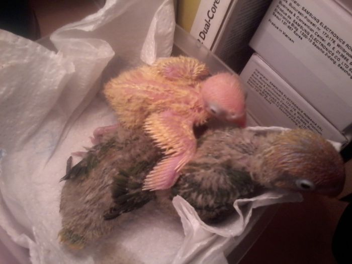 20131028_082302; 28 oct
