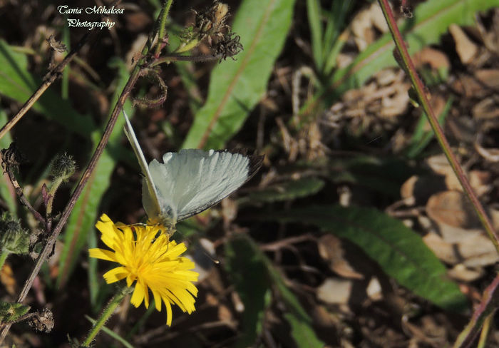 DSCN0458