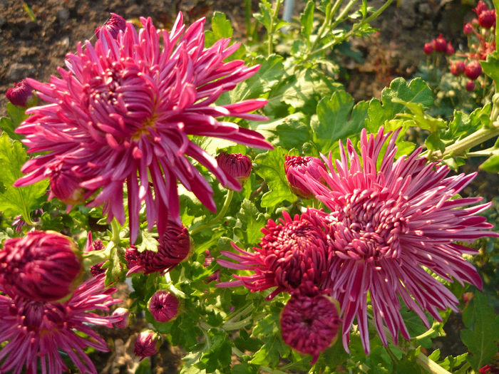 P1050330