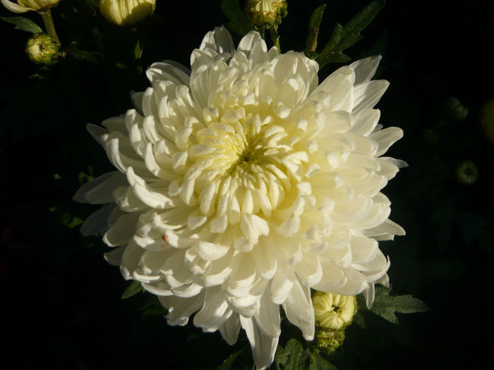 P1050267