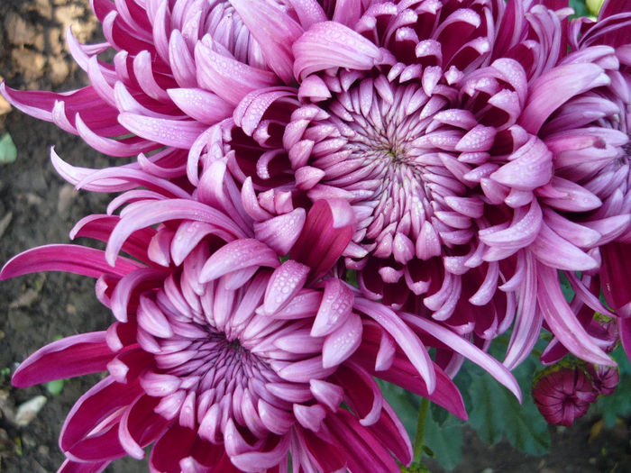 P1050270