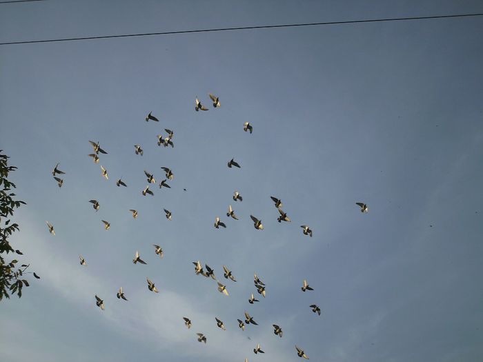 PICT0018