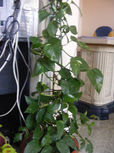 DSCF0107