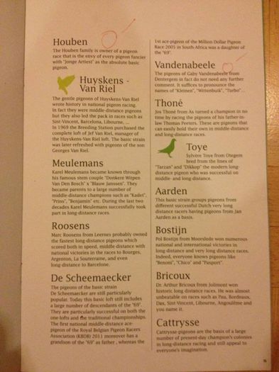 1379464_543590132387421_303386570_n