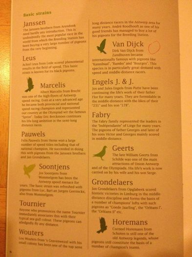 1379639_543590022387432_1471568177_n