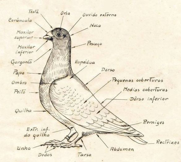 1391676_545221338890967_121065813_n