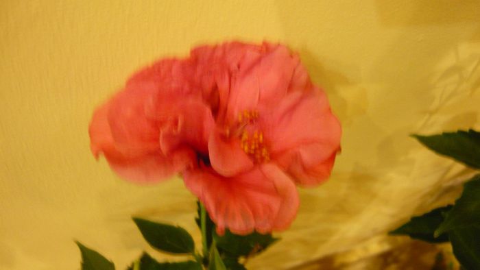 Picture 3317