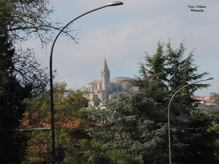 DSCN0593