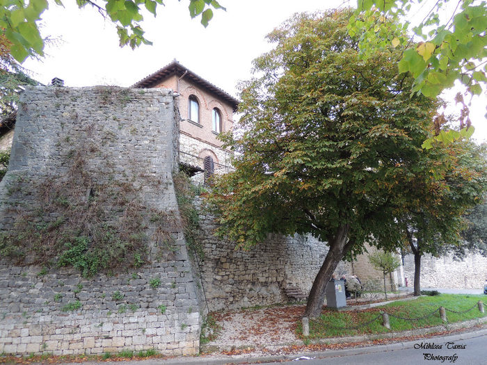 DSCN0730