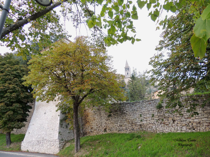 DSCN0733