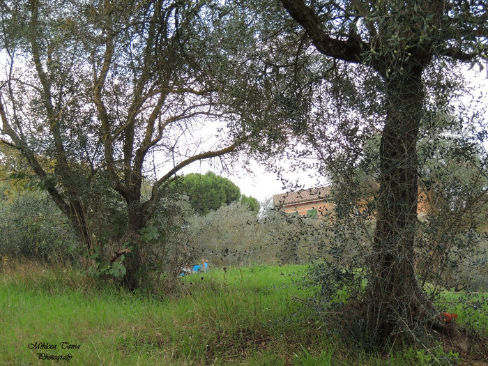 DSCN0744