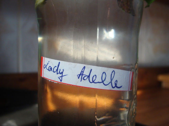 LADY ADELLE (2) - LADY ADELLE